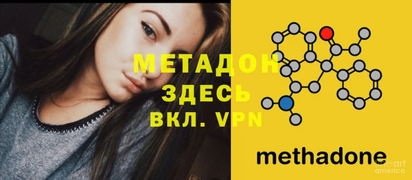 индика Карпинск
