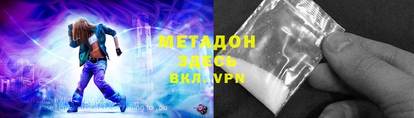индика Карпинск