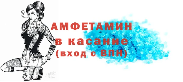 индика Карпинск