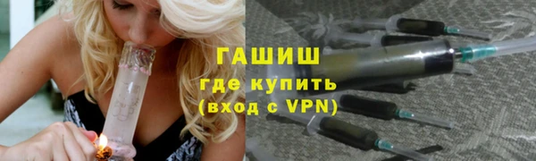индика Карпинск