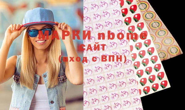 индика Карпинск