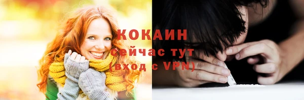 индика Карпинск