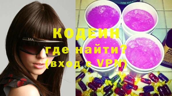 индика Карпинск