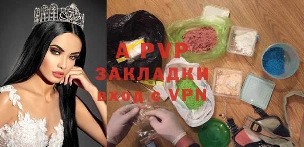 индика Карпинск