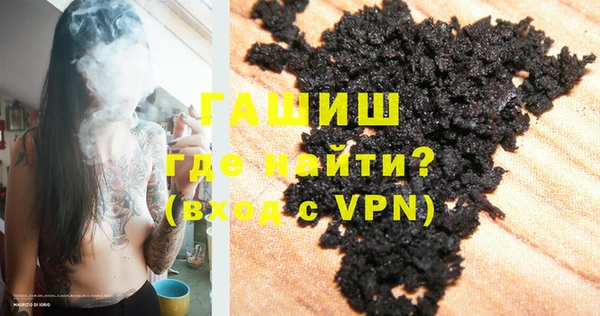 индика Карпинск