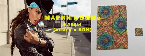 индика Карпинск