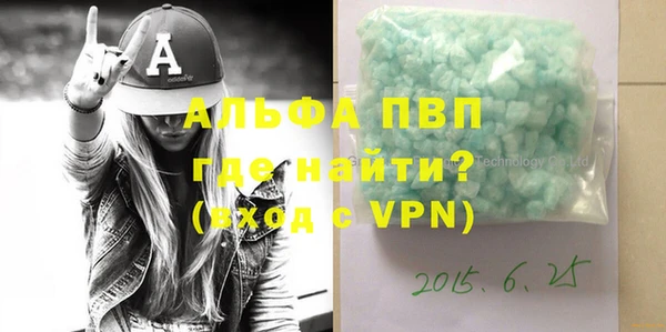 индика Карпинск