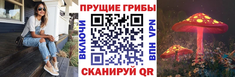 Купить  Губаха  Галлюциногенные грибы прущие грибы 