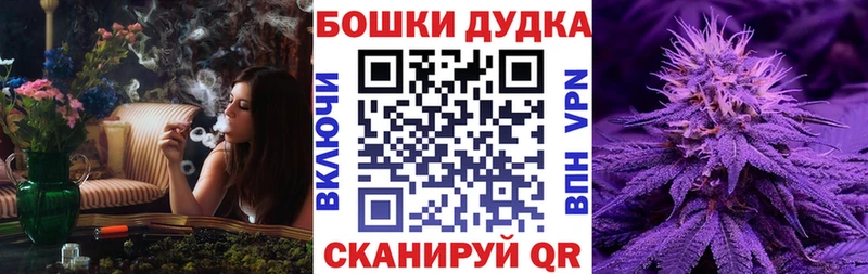 Конопля VHQ  Купить закладки  Губаха 